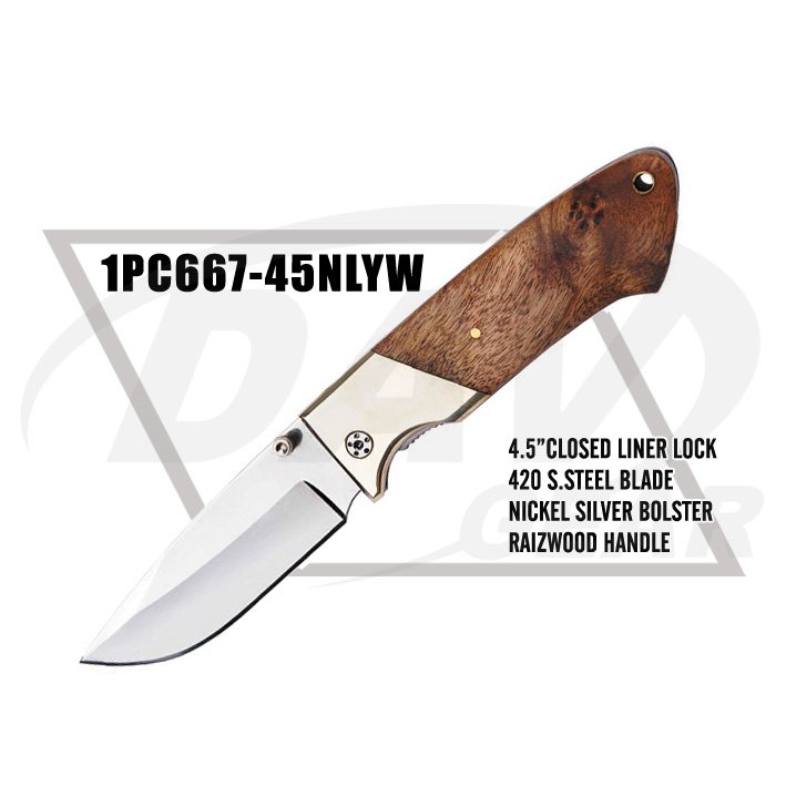 1PC667-45NLYW