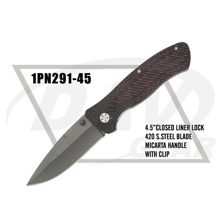 1PN291-45