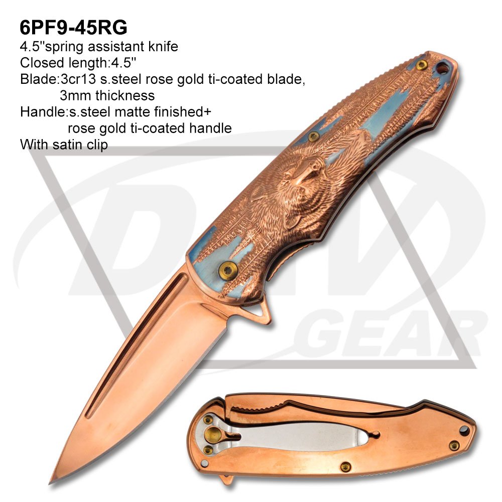 6PF9-45RG
